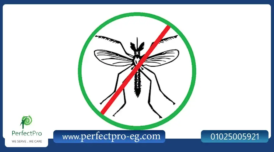 ارخص شركات مكافحة الحشرات فى مصر